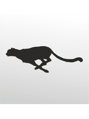 Technopa Folyo Sticker Çita 101 80 cm Uzunluk Dekoratif Sticker