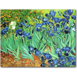 Cakatablo  Ahşap Tablo Vincent Van Gogh Irislerim Resim