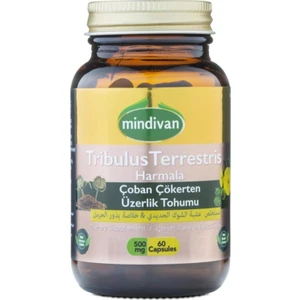 Çoban Çökerten - Üzerlik Tohumu Ekstresi  60 Kapsül
