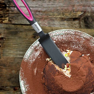 Rapid Pastacı Spatulası