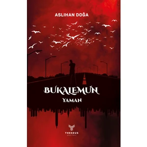 Bukalemun - Yaman - Aslıhan Doğa
