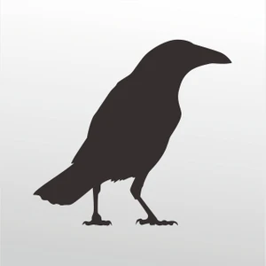 Folyo Sticker Karga 101 30 cm Uzunluk Dekoratif Sticker