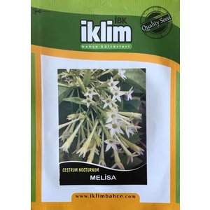 Karahasanoğlu Tarım Melisa Çiçek Tohumu Cestrum Nocturnum
