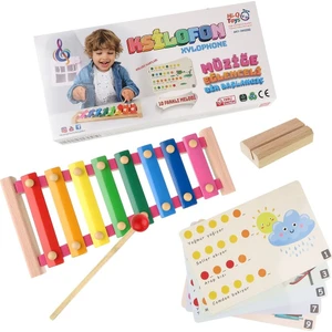 Hi-Q Toys Ahşap Renkli Nota Kartlı 8'li Ksilofon