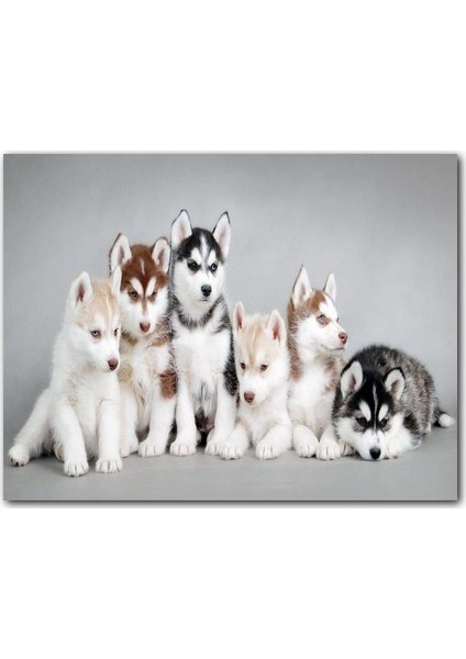 Cakatablo Ahşap Tablo Sevimli Yavru Kurtlar