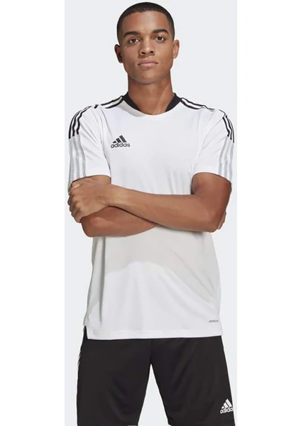 Adidas Erkek Futbol Futbol Forma TIRO21 Tr Jsy GM7590