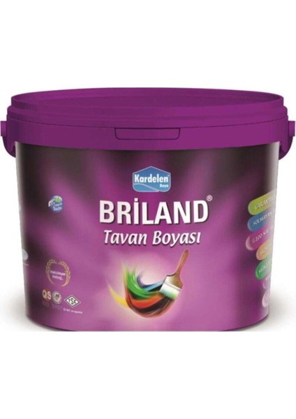 Briland Tavan 10 kg