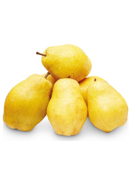 Armut Margarit 1 kg
