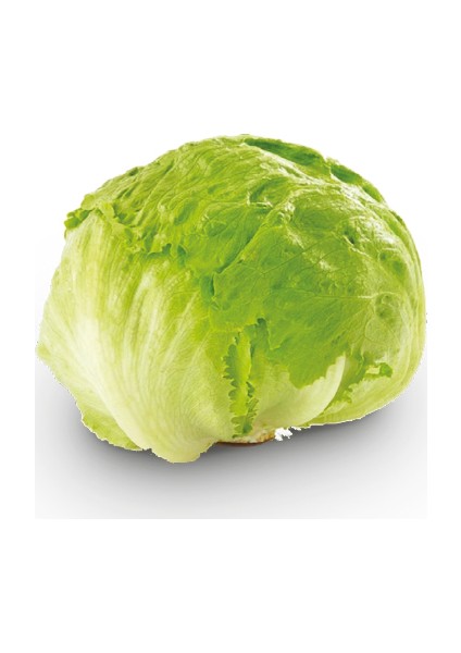 Göbek Salata 1 Adet