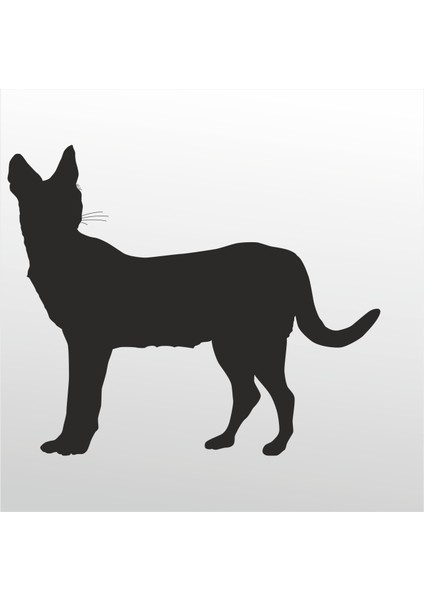Folyo Sticker Kedi 119 60 cm Uzunluk Dekoratif Sticker