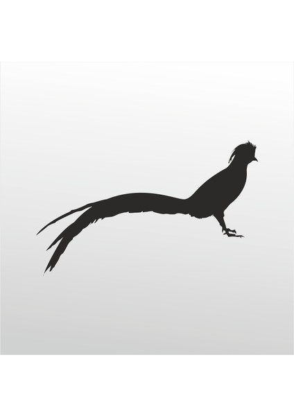 Folyo Sticker Anka Kuşu 100 cm Uzunluk Dekoratif Sticker