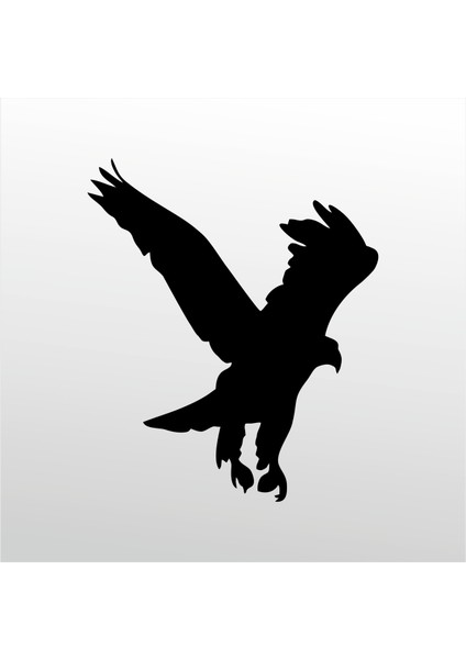Folyo Sticker Kartal 105 100 cm Uzunluk Dekoratif Sticker