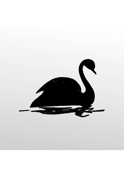 Folyo Sticker Kaz 102 90 cm Uzunluk Dekoratif Sticker