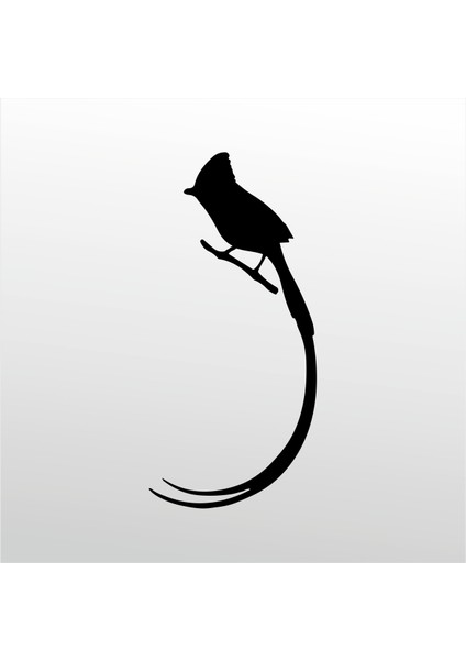 Folyo Sticker Hint Bülbülü 160 cm Uzunluk Dekoratif Sticker