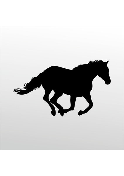 Folyo Sticker At 150 200 cm Uzunluk Dekoratif Sticker