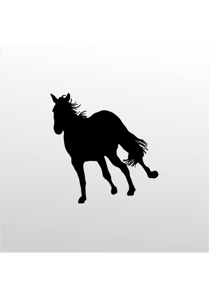 Folyo Sticker At 126 80 cm Uzunluk Dekoratif Sticker