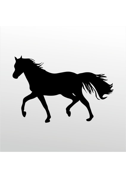 Folyo Sticker At 149 60 cm Uzunluk Dekoratif Sticker