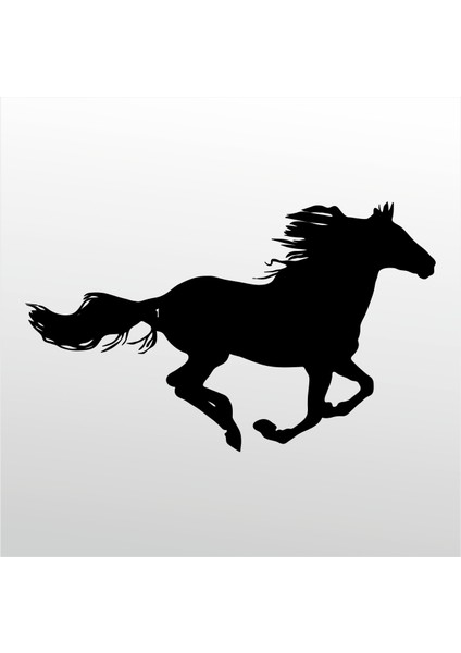 Folyo Sticker At 158 50 cm Uzunluk Dekoratif Sticker