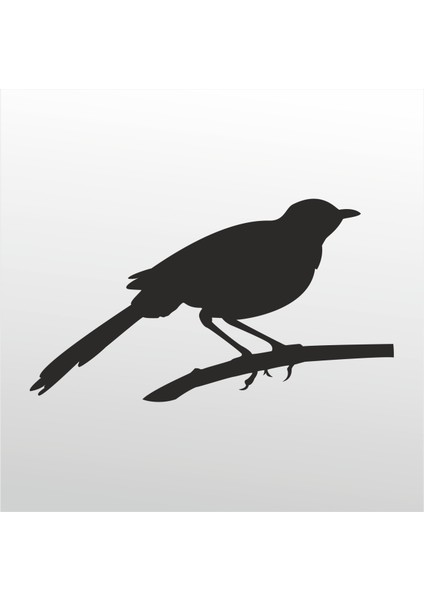 Folyo Sticker Arı Kuşu 30 cm Uzunluk Dekoratif Sticker