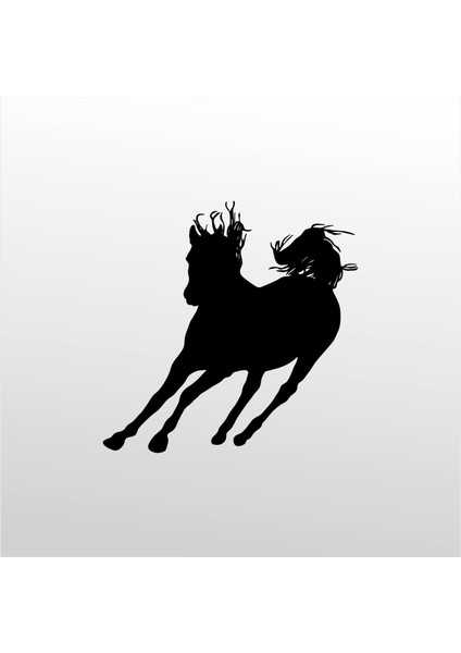 Folyo Sticker At 128 30 cm Uzunluk Dekoratif Sticker