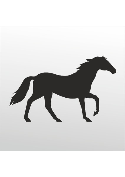 Folyo Sticker At 124 130 cm Uzunluk Dekoratif Sticker