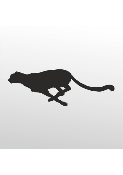 Folyo Sticker Çita 101 30 cm Uzunluk Dekoratif Sticker