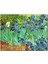 Cakatablo Ahşap Tablo Vincent Van Gogh Irislerim Resim 1