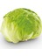 Göbek Salata 1 Adet 1