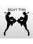 Folyo Sticker Muay Thai 40 cm Uzunluk Dekoratif Sticker 1