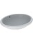 Variform Oval Tezgah Altı Lavabo - 500.752.01.2 1