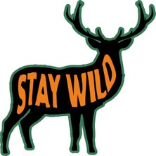 Sticker Atölyesi Outdoor Adventure Camping Sticker - 22067