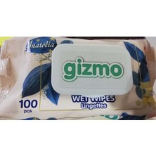 Gizmo Anatolia Islak Havlu 100'lü