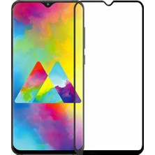 CaseArt Samsung Galaxy M20 Tam Kaplayan Temperli Ekran Koruyucu Cam