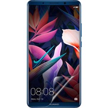 CaseArt Huawei Mate 10 Pro Nano Ekran Koruyucu Kırılmaz Esnek Cam
