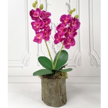 Nettenevime Yapay Çiçek Ahşap Kütük Saksılı Mini Yapay Orkide Dekoratif Hediye