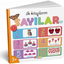 Diytoy İlk Kitaplarım Serisi Eğitici 6lı Set