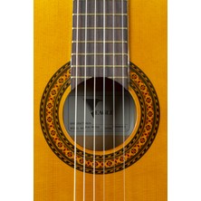 Eagle Klasik Gitar  FAC-501CEQ