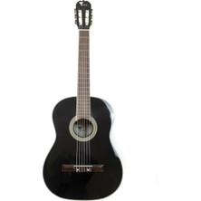 Eagle Klasik Gitar  FAC-603B