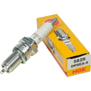 Universal DP8EA-9  Buji