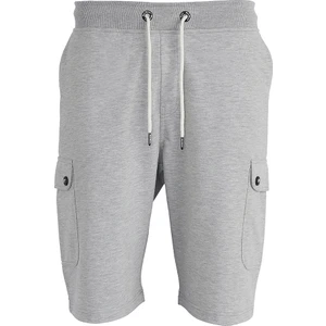 Bad Bear Erkek Gri Şort & Bermuda