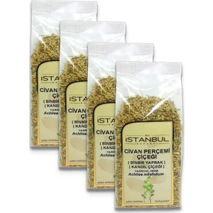 Istanbul Baharat Civan Perçemi (Kandil Çiçeği) 4X50 gr