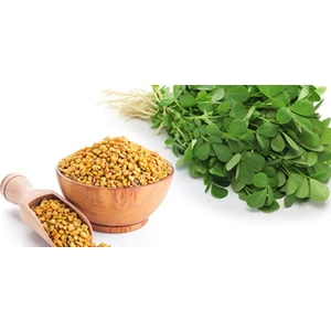 Yonca Tohumu (20.000 Adet)