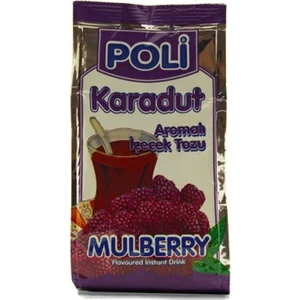 Karadut Aromalı Içecek Tozu 300 gr