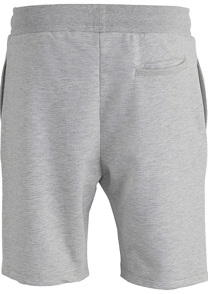 Erkek Gri Melanj Şort fiyatları