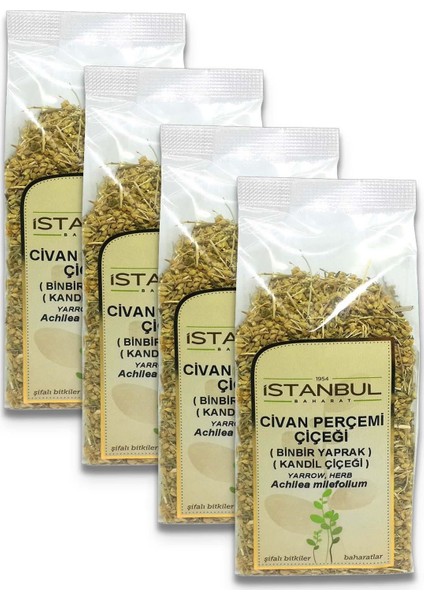 Istanbul Baharat Civan Perçemi (Kandil Çiçeği) 4X50 gr