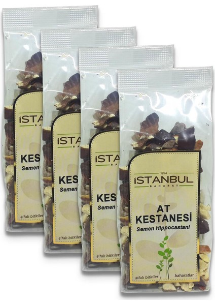 Istanbul Baharat At Kestanesi 4X100 gr