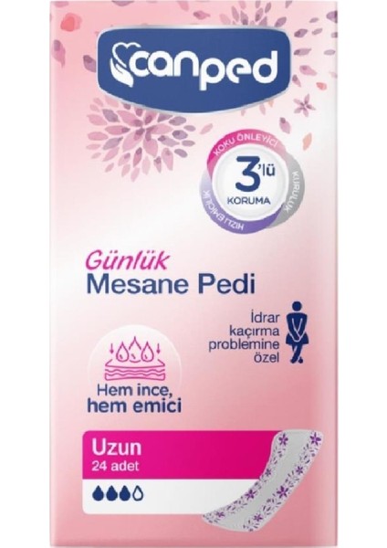 Günlük Mesane Pedi Uzun 24'lü