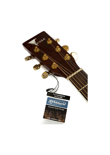 Akustik Gitar FAW-901C modelleri