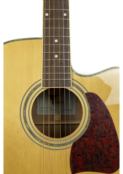 Elektro Akustik Gitar FAW-955EQ fiyatları