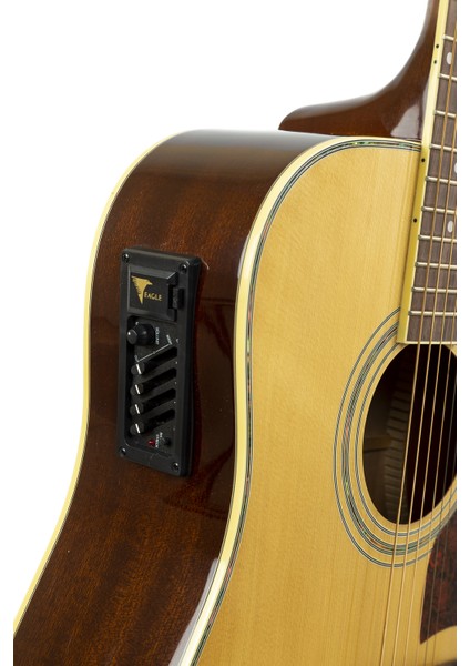 Elektro Akustik Gitar FAW-955EQ modelleri